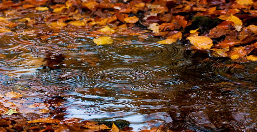 Rain falling near a home